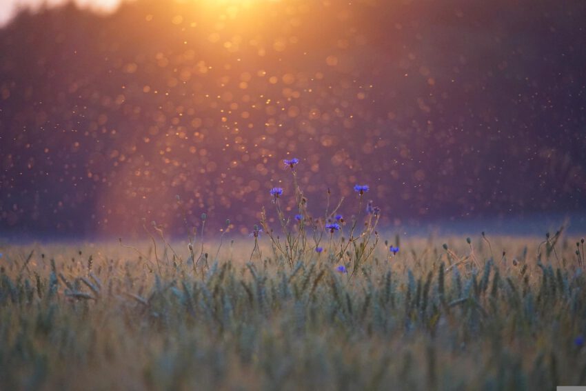 2023 03 13 Ostara Beltane1